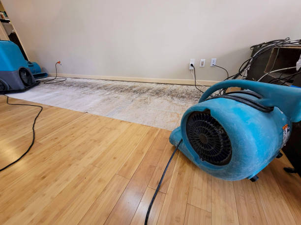Professional Water Removal technician working in East Boothbay, ME